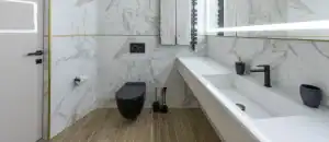 How to plunge a toilet