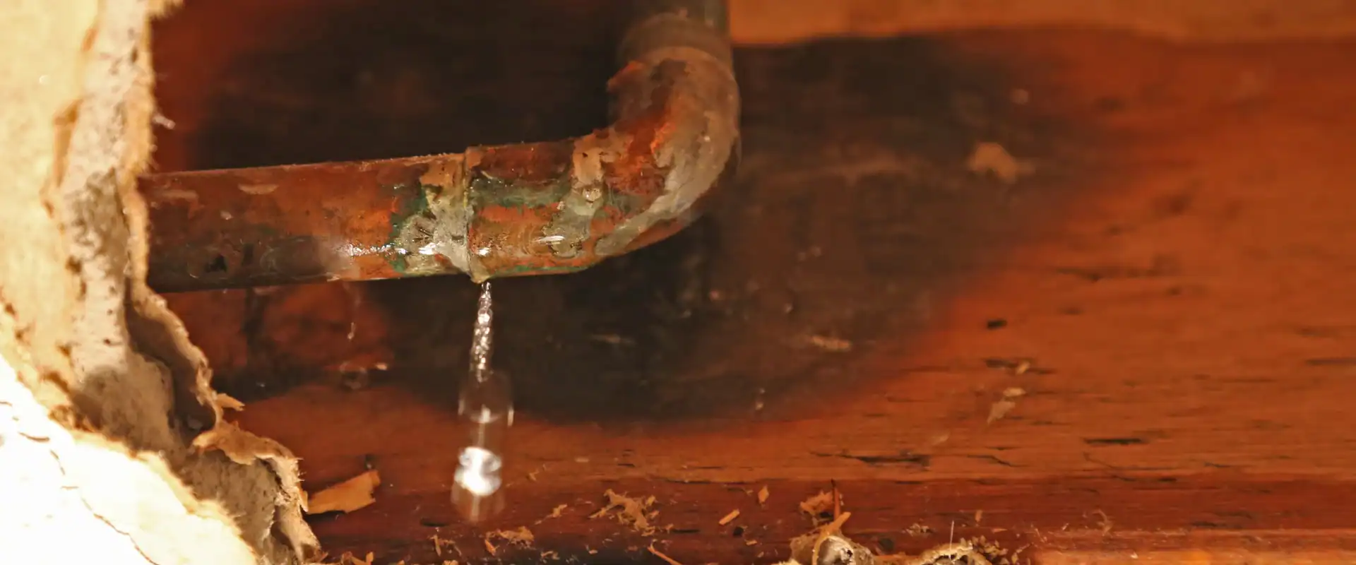 Leak Detection and Home Longevity- Why It's the Key