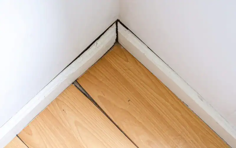 leaky pipe causing floor to warp