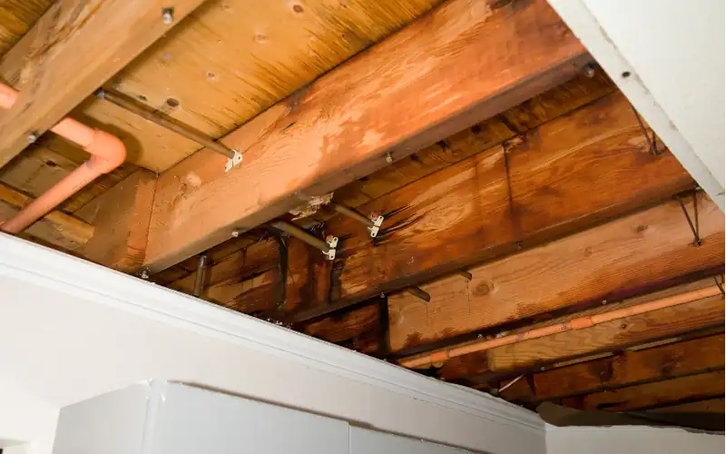 rotten wood from water damage