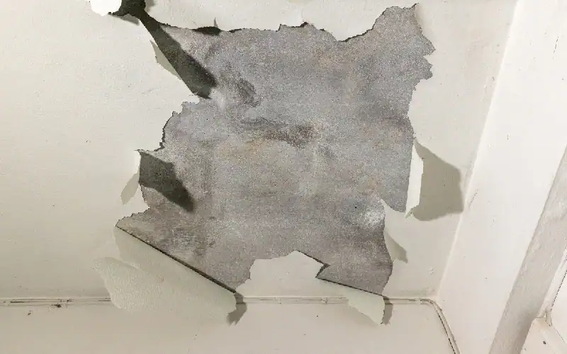 visible water leaks from walls